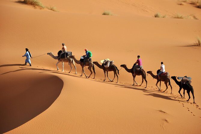 7 Night Sahara Caravan Road - Day-by-Day Breakdown