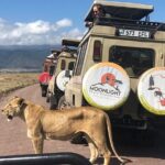 7Day Serengeti Migration (Ndutu), Crater, Hot Springs & City Tour - Day 2: The Heart of the Migration at Ndutu Lake