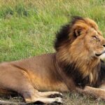 8 Day Bush and Beach Private Holiday Safari - Value for Money and Practical Details