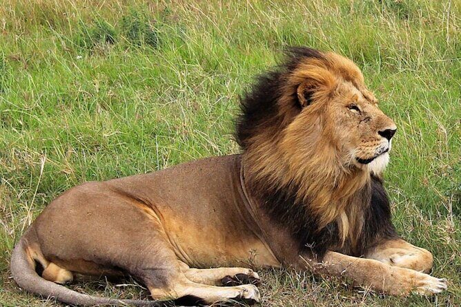 8 Day Bush and Beach Private Holiday Safari - Value for Money and Practical Details