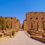 8 Day Cairo and Nile Cruise Adventure - Why This Tour Offers Great Value