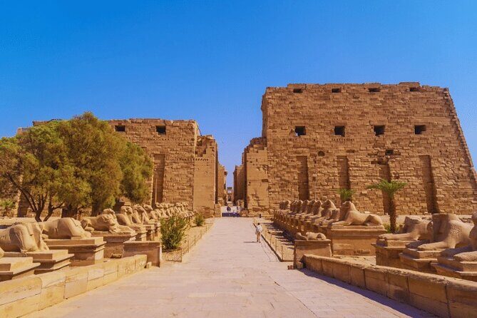 8 Day Cairo and Nile Cruise Adventure - Why This Tour Offers Great Value