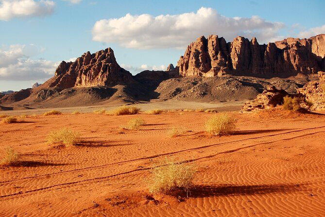 8-Day Classic Private Guided Tour Of Jordan - Overview of the Tour Experience