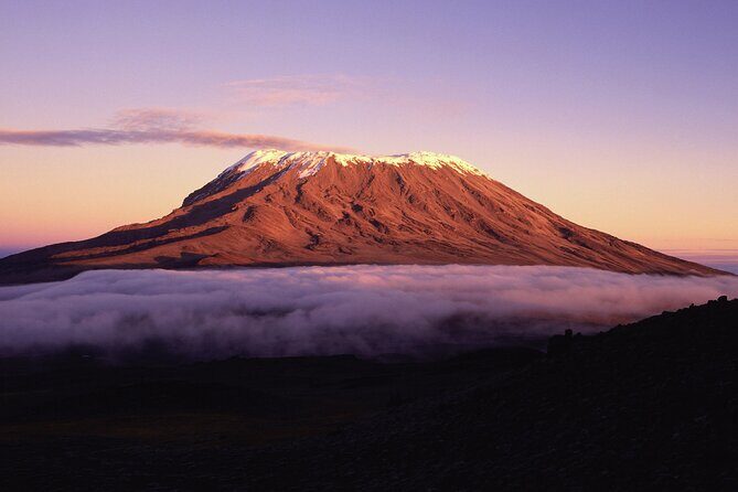 8 Day Climbing Kilimanjaro Via Lemosho Route - FAQs