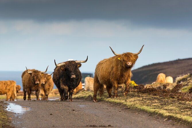 8-Day Isle of Skye, Orkney & North Coast 500 tour from Edinburgh - What Travelers Love About This Tour