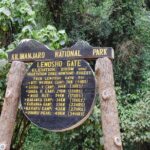 8 Day Kilimanjaro Lemosho Climb - What Sets This Tour Apart?