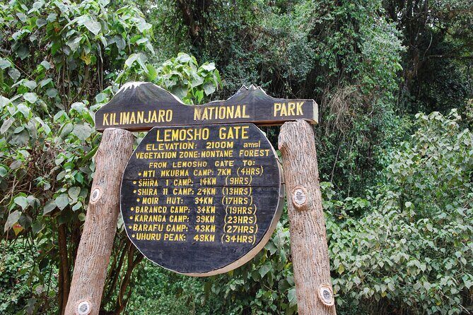 8 Day Kilimanjaro Lemosho Climb - What Sets This Tour Apart?