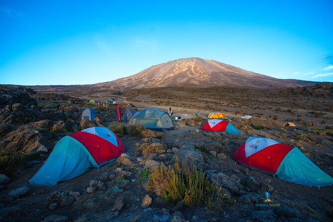 8 Day Kilimanjaro Trek via Lemosho Route - What Sets This Trek Apart?