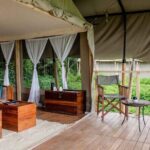 8 Day Mid Range Serengeti Wildebeests Migration - What Makes This Tour Stand Out?