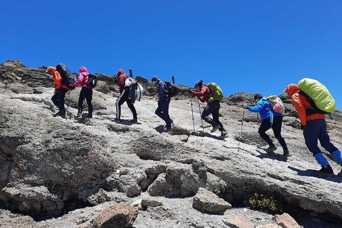 8 Day Mount Kilimanjaro Trekking Lemosho Route - A Closer Look at the Itinerary