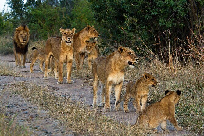 8 Day Safari The Best of Tanzania & Lake Eyasi - Value and Practical Insights