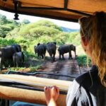 8-Day Tanzania Private Safari Tour with Airport Pickup - Final Thoughts: Is This Safari for You?