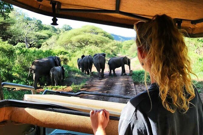8-Day Tanzania Private Safari Tour with Airport Pickup - Final Thoughts: Is This Safari for You?