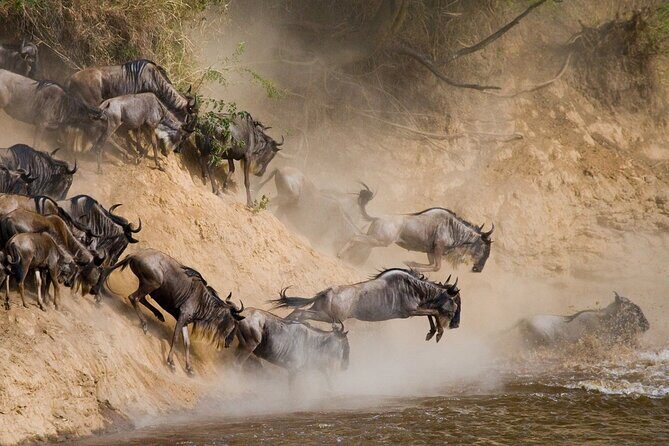 8 Days Follow the Wildebeest Migration River Crossing Safari - Practical Tips for Potential Travelers