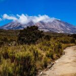 8 Days Guided Private Trekking in Mount Kilimanjaro - Final Thoughts: Is This Kilimanjaro Trek Right for You?