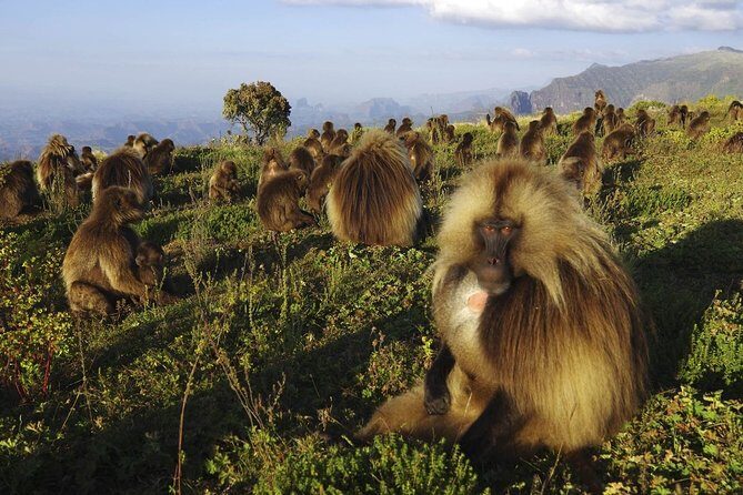 8 Days Historical tour to Ethiopia - FAQ