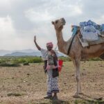 8 Days in Eritrea Asmara Ancient Sites and Red Sea Paradise - Who Would Love This Tour?