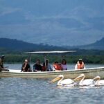 8 days Kenya and Tanzania private lodging safari from Nairobi - The First Days: Nairobi to Maasai Mara