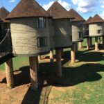 8 days Kenya highlights safari starting from Nairobi. - What Makes This Tour Stand Out?