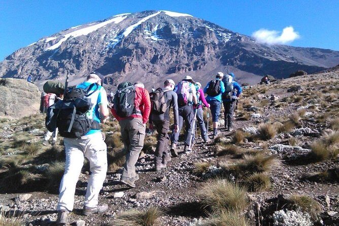 8 Days Lemosho Route Kilimanjaro Trekking - What Really Sets Mafie Adventures Apart