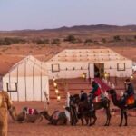 8 Days Morocco Private Tour; Imperial Cities and the Desert - Who Is This Tour Best For?