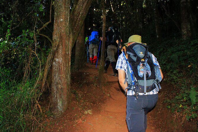 8 Days Mountain Kilimanjaro Lemosho Route - The Value of the 8-Day Lemosho Route