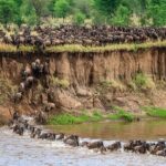 8 Days Serengeti Migration safari - Frequently Asked Questions