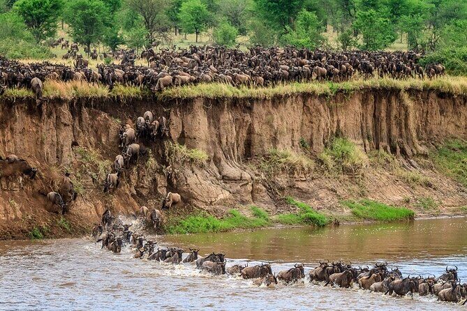 8 Days Serengeti Migration safari - Frequently Asked Questions