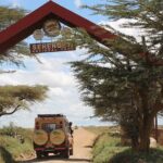 8 Days Tanzania Simba Luxury Safari - What Makes This Safari Stand Out?