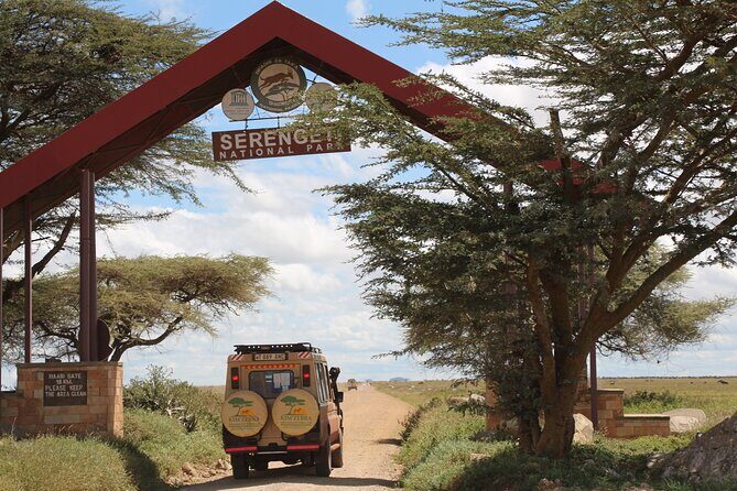 8 Days Tanzania Simba Luxury Safari - What Makes This Safari Stand Out?