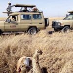 8 Days Tanzania Wildlife Safari Experience - The Value of the Tour
