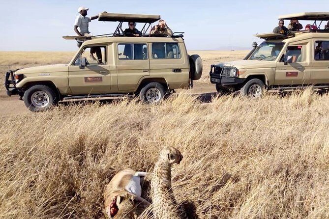 8 Days Tanzania Wildlife Safari Experience - The Value of the Tour