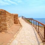 8 Hours of Salalah Best: East & West Private Tour - What Travelers Say