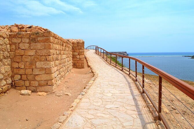 8 Hours of Salalah Best: East & West Private Tour - What Travelers Say