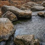 8 Hours of West Salalah Best | Private Tour - Final Thoughts — Who Should Book This Tour?