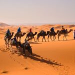 8D Morocco Luxury Private Tour From Casablanca By Imperial Cities - Who Will Love This Tour?