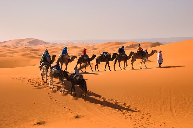 8D Morocco Luxury Private Tour From Casablanca By Imperial Cities - Who Will Love This Tour?