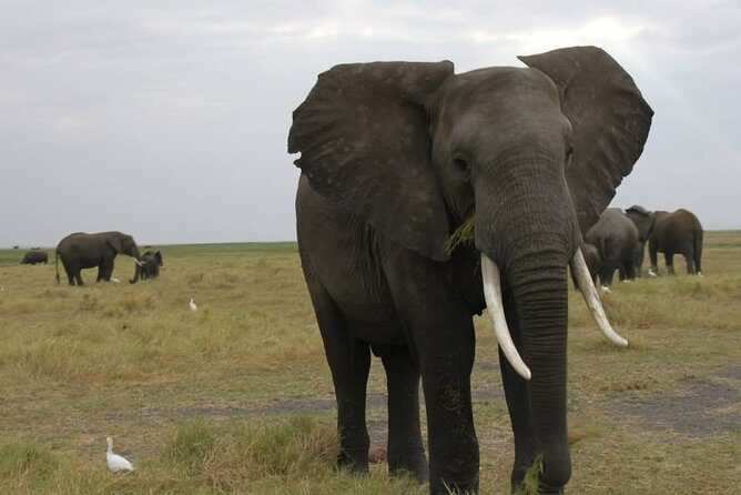 9 Day Best Of Northern Botswana & Victoria Falls - Mix of WildCamping & Lodges - The Authentic Experience and Special Touches
