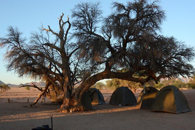 9 Day Canyons, Dunes & Wildlife Camping and Lodge Safari - What Sets This Tour Apart?