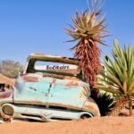 9 Day Etosha, Skeleton Coast and Sossusvlei Camping and Lodge Safari - The Practical Aspects & Value