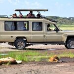 9-Days Best of Kenya Wildlife Private 4X4 Jeep Safari - What You Can Expect from the Experience