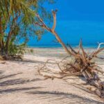 9-Days Bush and Beach Private Experience - Unique Experiences in Maasai Mara