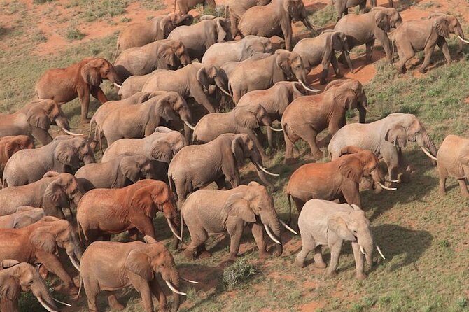 9-Days Discover Kenya Private Safari - Value for Money
