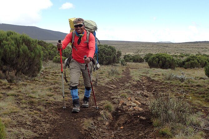 9 Days Kilimanjaro Climb via Lemosho Route - Practical Details and Considerations