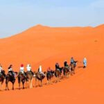 9 Days Private Morocco Desert Tour from Marrakech - Practical Considerations and Tips