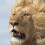 9 Days Safari To See Great Migration Crossing - Key Points