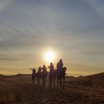 9 Days Southern Oasis, Kasbahs & Desert Morocco Cultural Tour from Marrakech - Who Should Consider This Tour?
