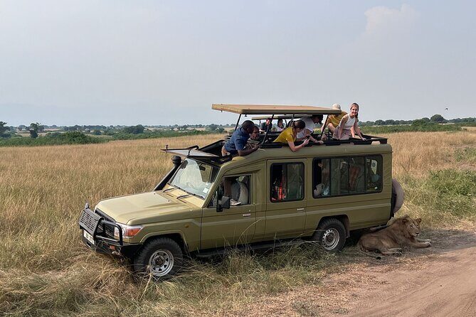 9 Days Uganda Wildlife Safaris, Gorilla Trekking & Hiking - Practical Details and Value