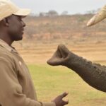 90-minute Elephant Watching Experience in Hoedspruit - Detailed Review of the 90-minute Elephant Watching Experience