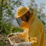 A day as a beekeeper: an adventure among mountains and nature - Practical Details and Tips